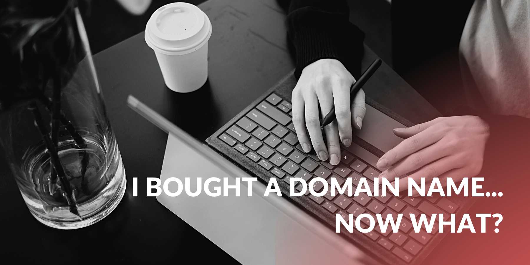 BOUGHT DOMAIN NAME NOW WHAT?